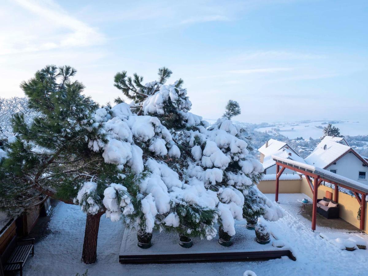 Hotel Kollektur Zellertal Экстерьер фото